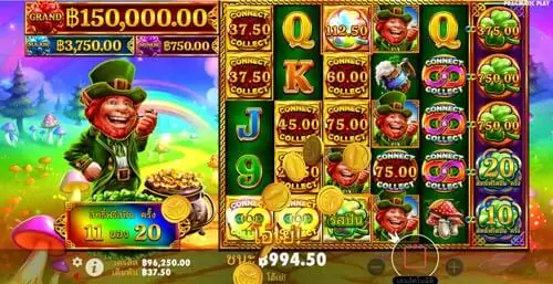 7 Clovers of Fortune