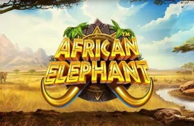 ทดลองเล่น African Elephant สล็อตค่าย Pragmatic Play ฟรี
