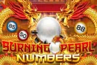 joker123 ค่ายเกมมาแรง เจ้าของ สล็อตโรม่า เกมฮิตปี 2024 ทดลองเล่น burning pearl bingo สล็อตค่าย joker gaming ฟรี