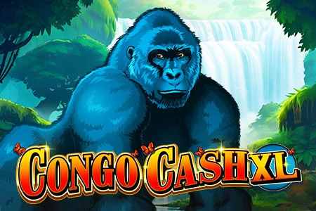 Congo Cash XL