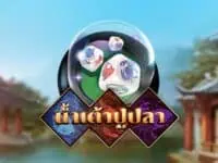 kingmaker เจ้าของเกม ไฮโลไทย น้ำเต้าปูปลา ป๊อกเด้ง เก้าเก ไพ่แคง fish prawn crab 2 เกมสล็อตค่าย kingmaker ทดลองเล่นฟรี