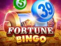 รีวิว jili slot แบบครบจบในที่เดียว fortune bingo เกมสล็อตค่าย jili ทดลองเล่นฟรี