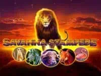 รีวิวค่ายเกม blueprint gaming ตำนานสล็อตระดับโลกที่คุณต้องลอง! ทดลองเล่น savanna stampede สล็อตค่าย blueprint gaming ฟรี