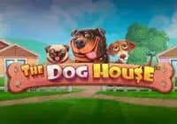 ทดลองเล่น The Dog House สล็อตค่าย Pragmatic Play ฟรี