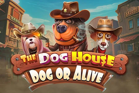 The Dog House – Dog or Alive
