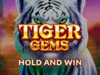 booongo (bng) ค่ายเกมสล็อตระดับโลกที่จะพาคุณก้าวสู่ประสบการณ์ใหม่! ทดลองเล่น tiger gems hold and win สล็อตค่าย booongo ฟรี