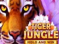 ทดลองเล่น Tiger Jungle: Hold and Win สล็อตค่าย booongo ฟรี