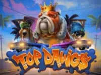 ทดลองเล่น Top Dawg$ สล็อตค่าย Relax Gaming ฟรี