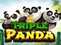 ทดลองเล่น triple panda สล็อตค่าย spade gaming ฟรี