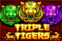 ทดลองเล่น Triple Tigers สล็อตค่าย Pragmatic Play ฟรี