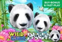 ทดลองเล่น Wild Giant Panda สล็อตค่าย Joker Gaming ฟรี