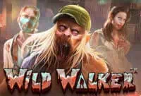 ทดลองเล่น Wild Walker สล็อตค่าย Pragmatic Play ฟรี