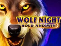 ทดลองเล่น Wolf Night Hold and Win สล็อตค่าย booongo ฟรี