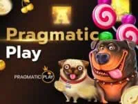 slot99 เว็บสล็อตเว็บตรง ใหม่ล่าสุด เล่นง่ายจ่ายจริง ไม่จำกัดยอด